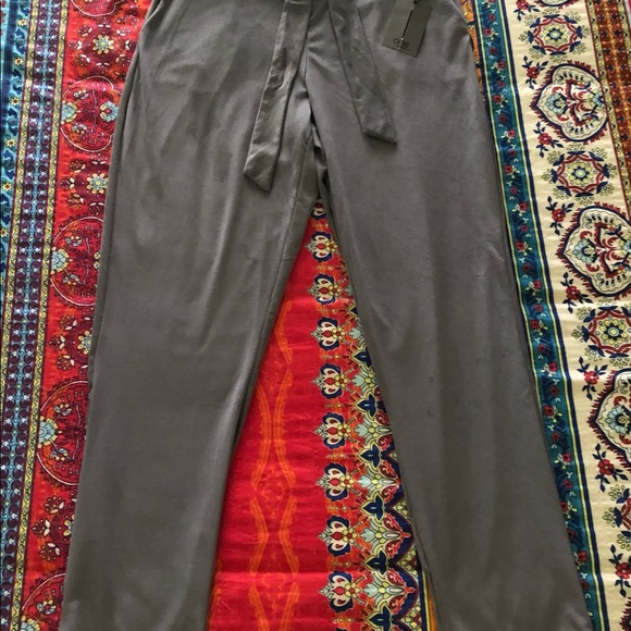 ONE byCHAPTER ONE LADIES DRESSY JOGGERS.THE MATERIAL FEELS VELVETY VELOUR.NWT!🔥 - Picture 2 of 6